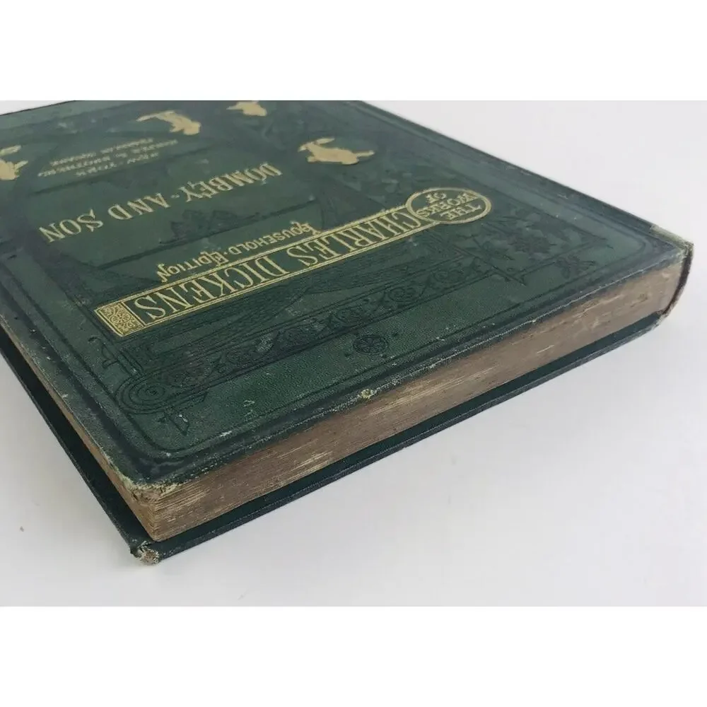 DOMBEY AND SON Charles Dickens Household Edition 1876 Hard B Antique Illustrated